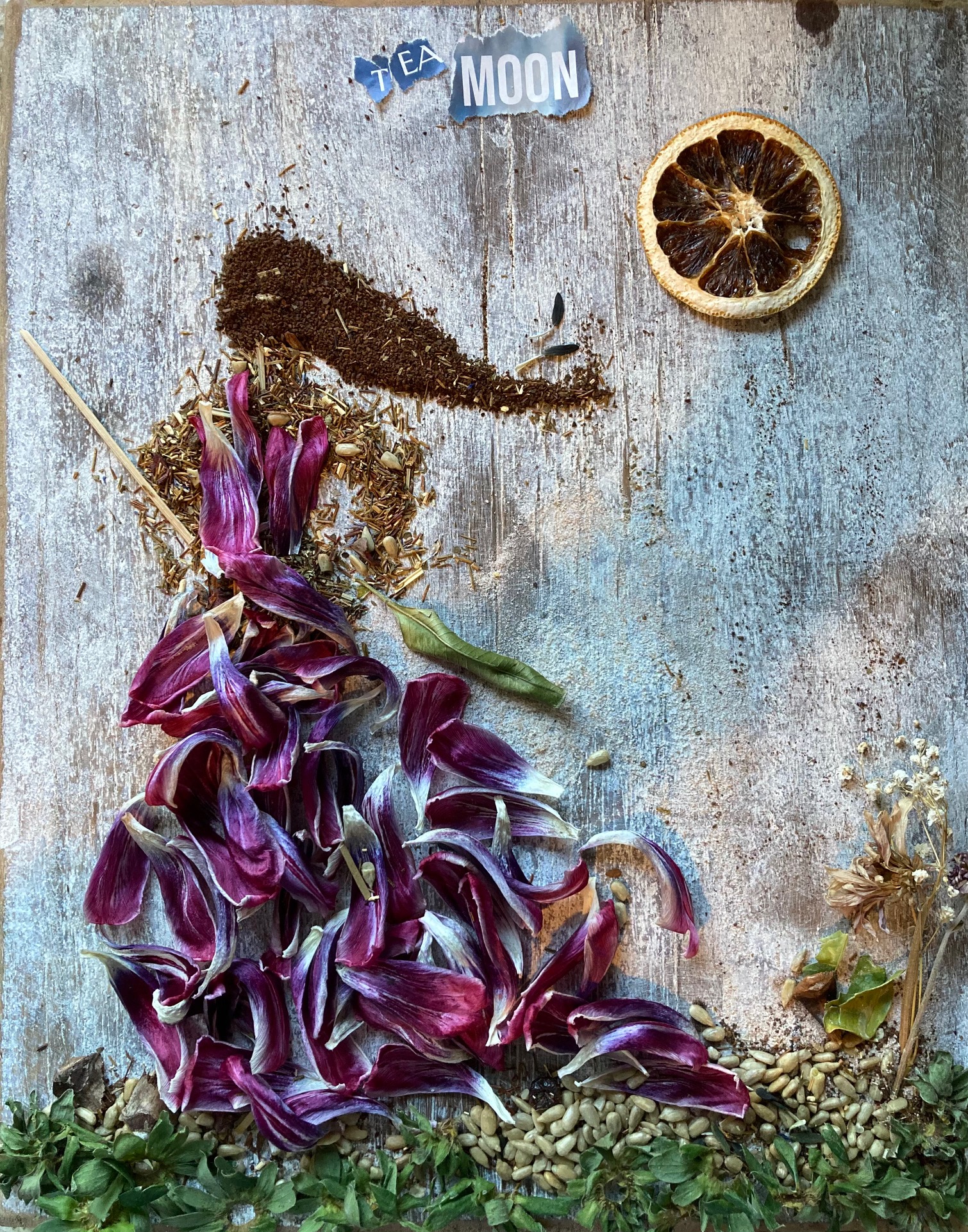 Tea Moon by Amy Marques