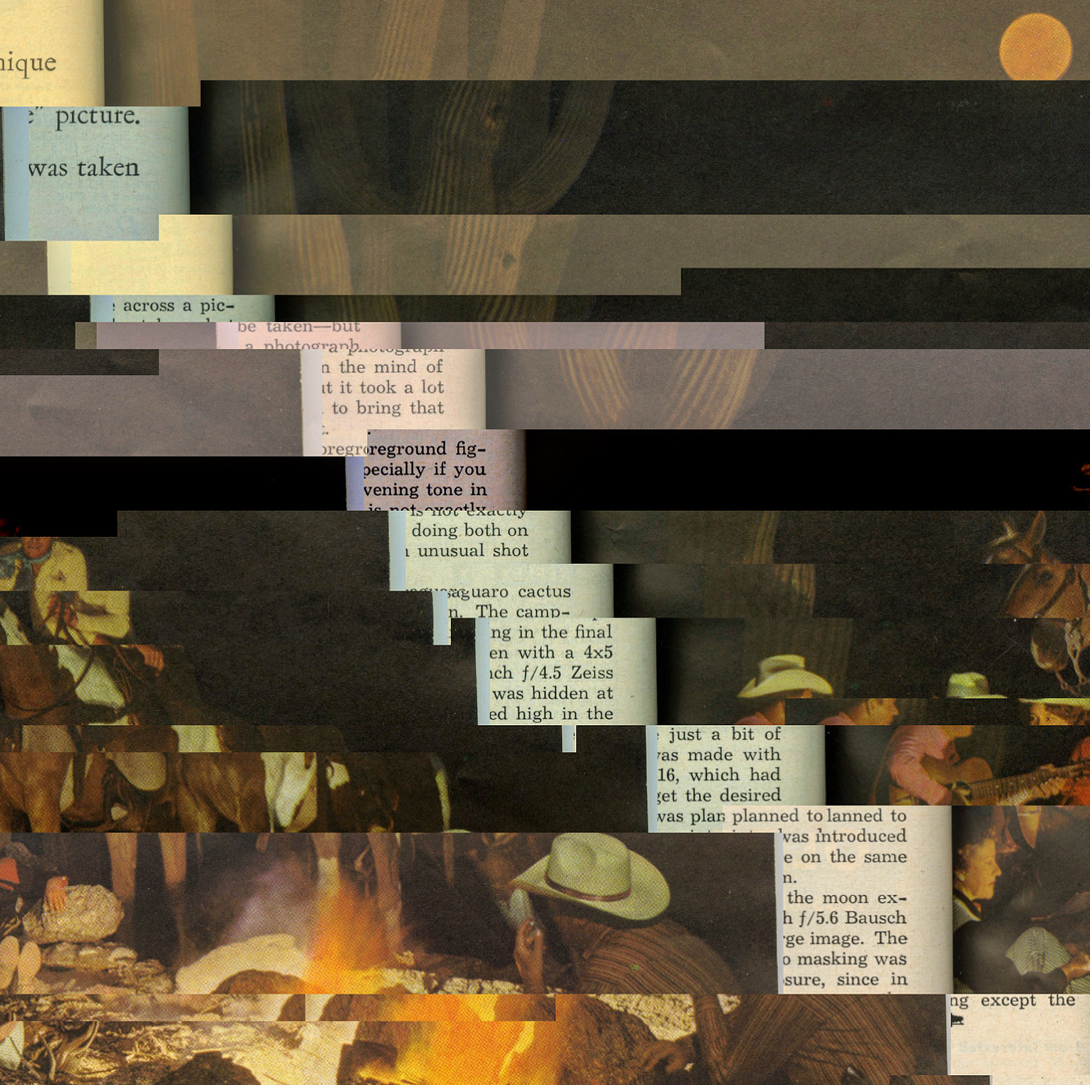 PICTURE WAS TAKEN by Patty Paine