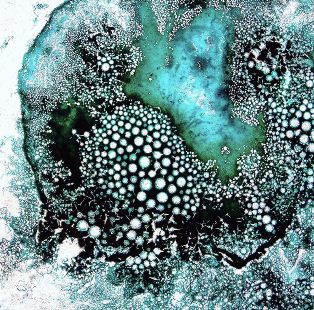 YOUR OWN MAKING by Patty Paine