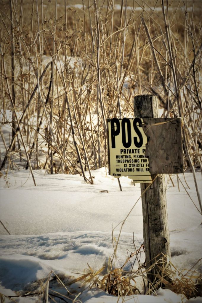 POSTED by Susan L De Miller