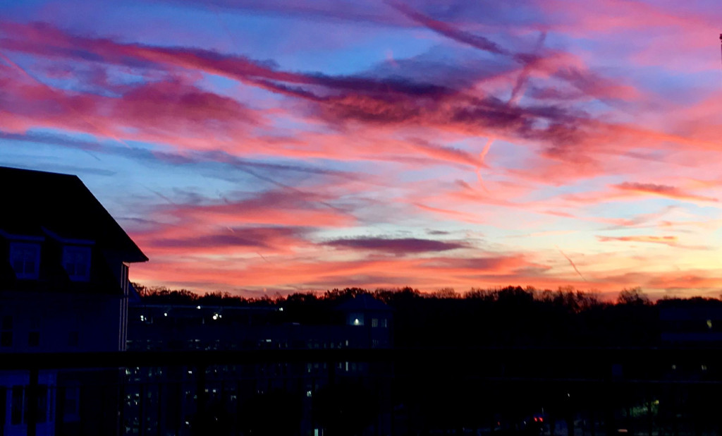 TWINKLE by Jacy Zhang