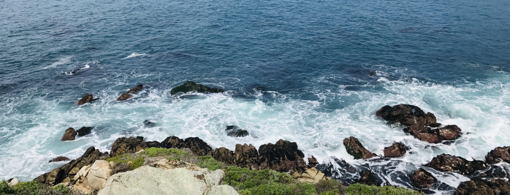 FOAM RUSH by Allison Zhuang