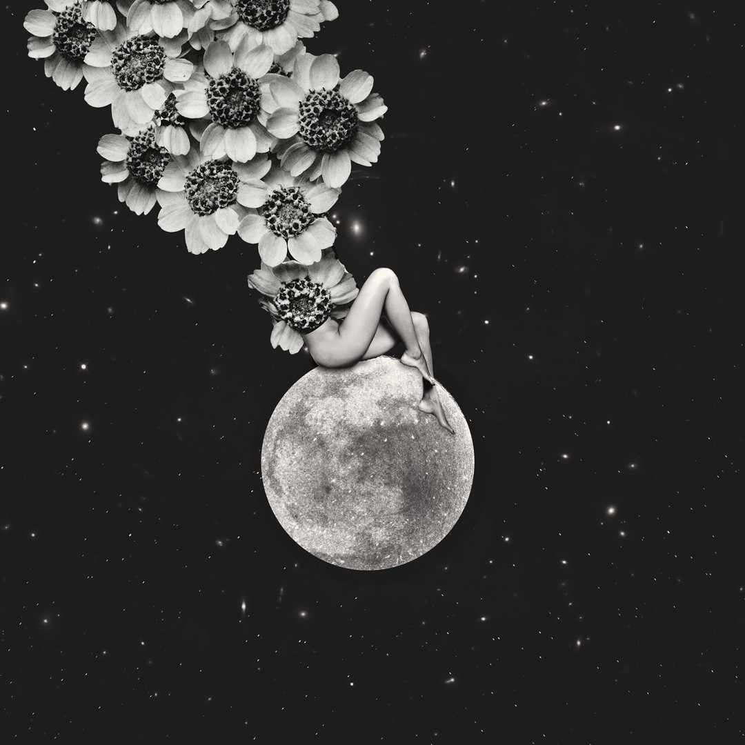 Moon Garden by Jelena Dejanovic