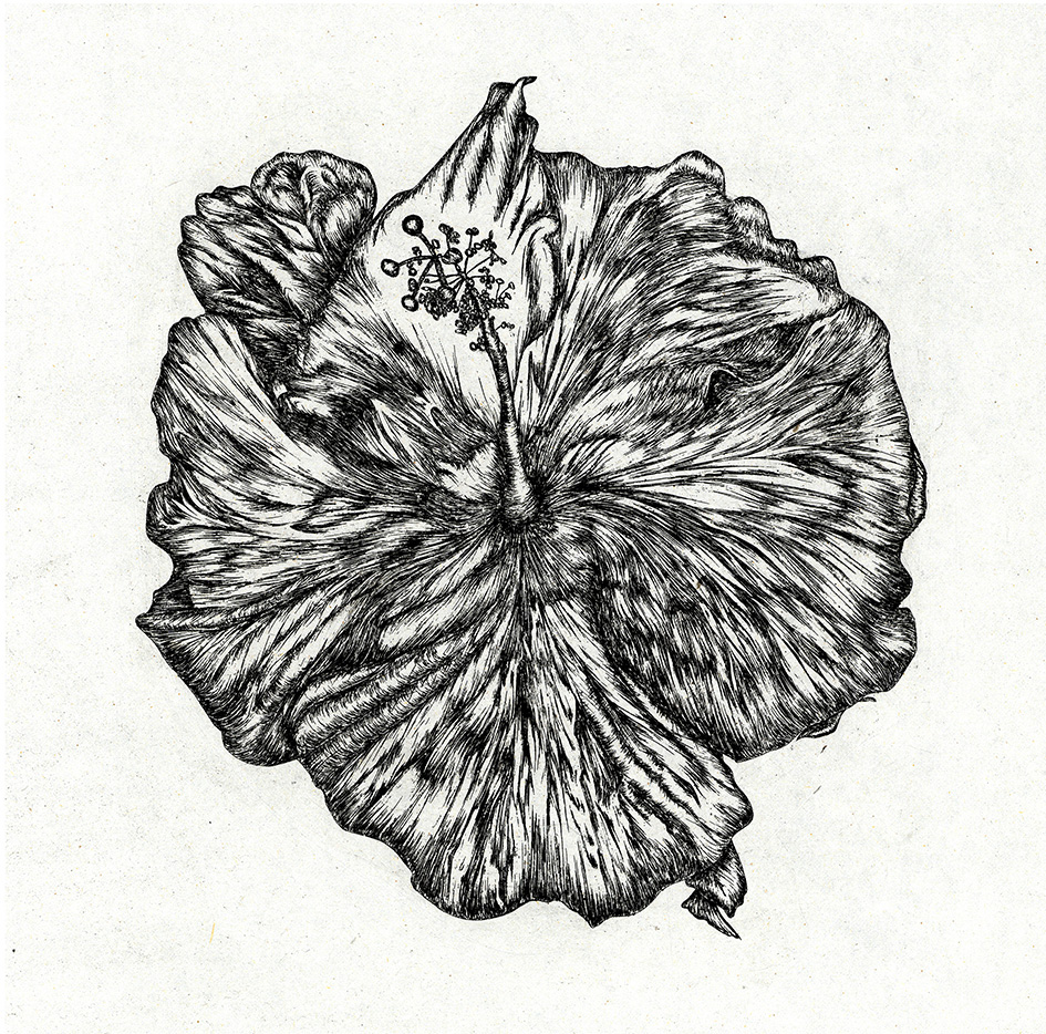 Flor De Maga by Rachel Singel