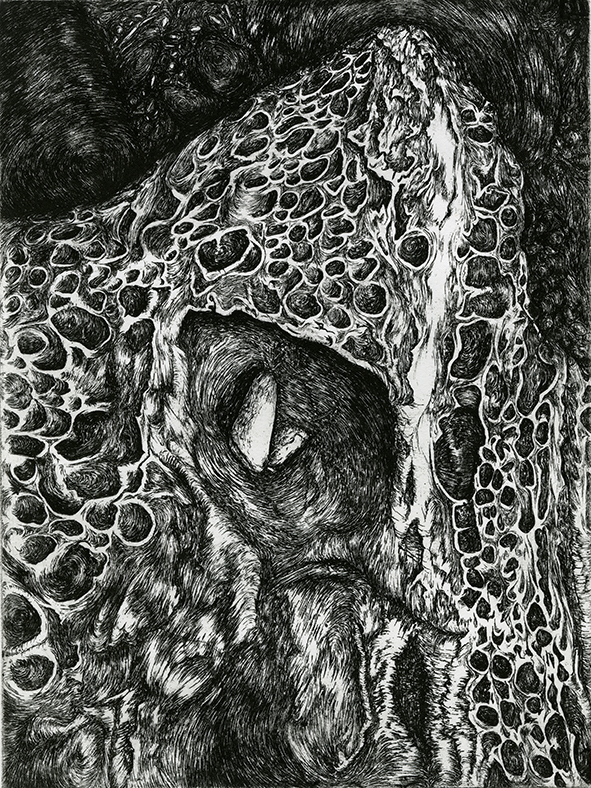 Journey at Mangawhai Cliffs by Rachel Singel