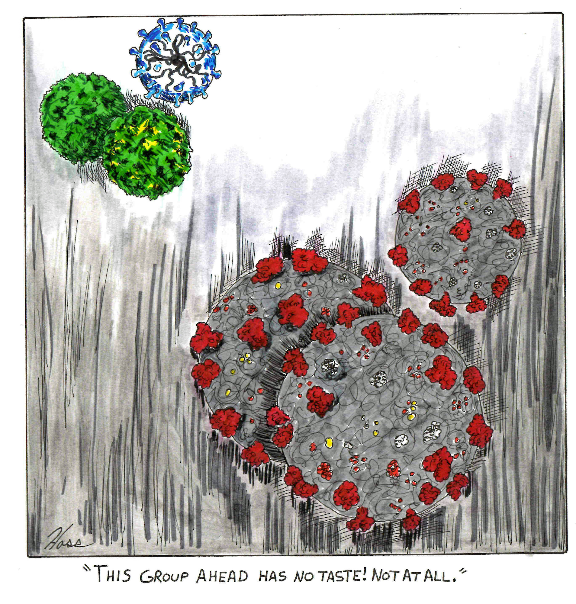 No Taste Color by John "Hoss" Taylor