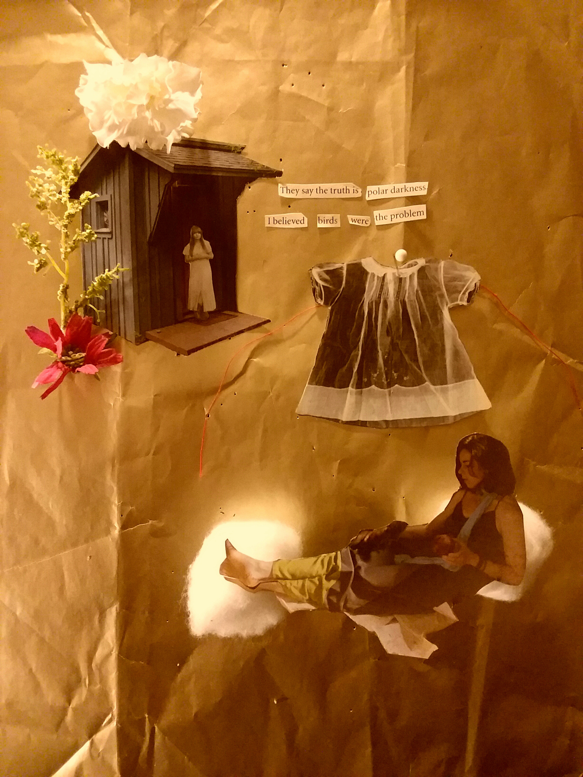 The truth is polar darkness by James Diaz